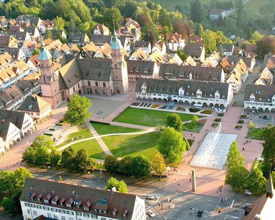 فرودنستاد Hotel Schwanen المظهر الخارجي الصورة