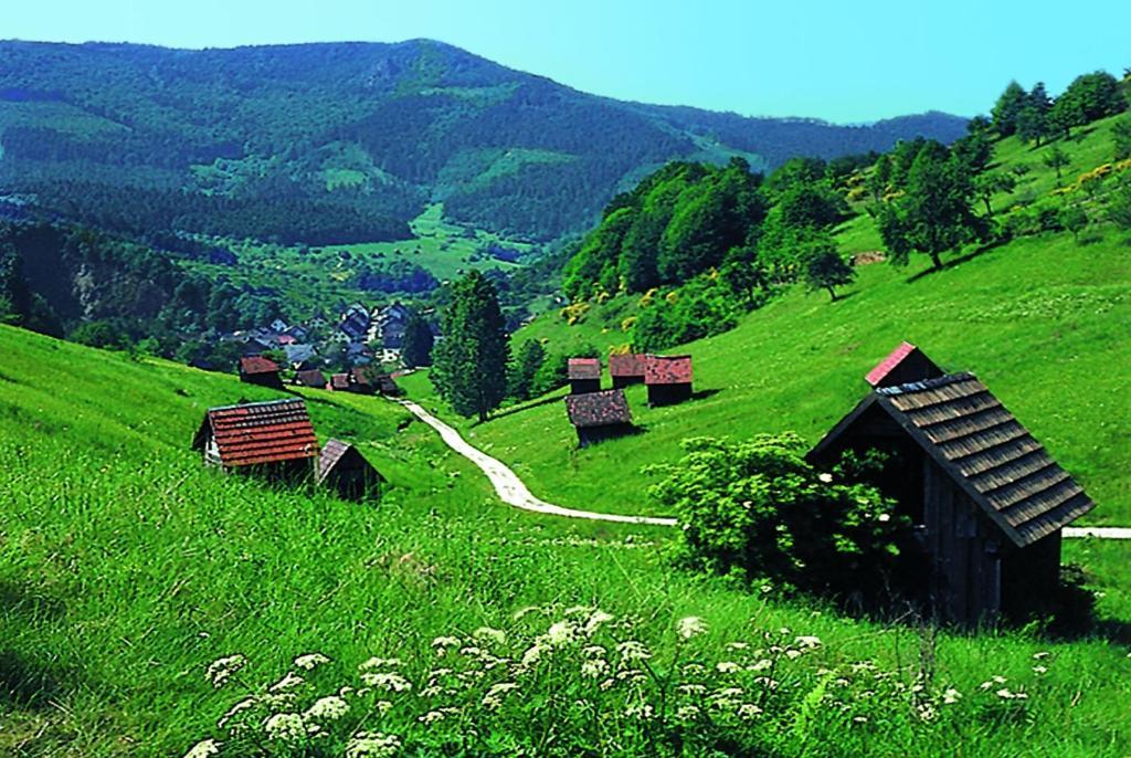 فرودنستاد Hotel Schwanen المظهر الخارجي الصورة